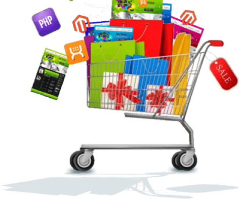 Ecommerce development