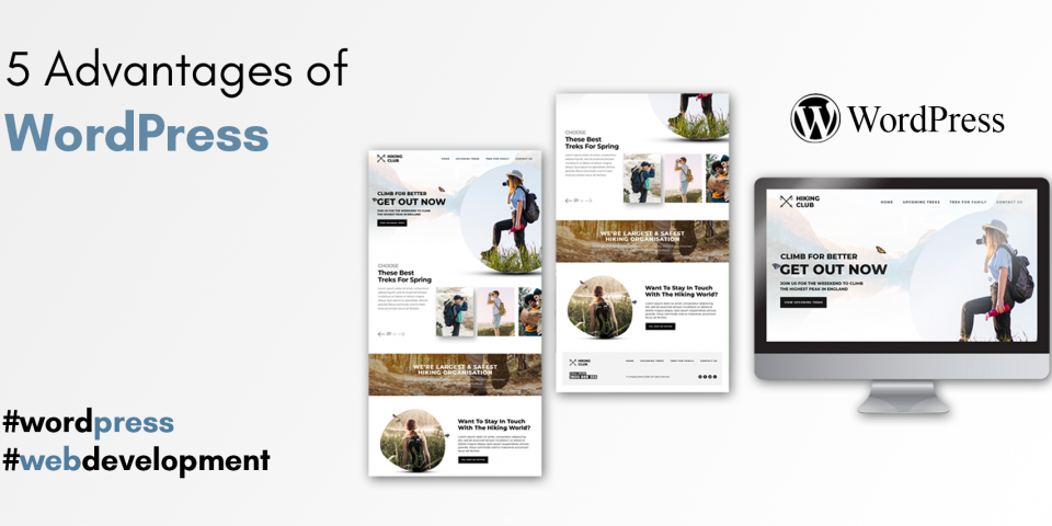 Why You Should Use WordPress for Building Your Website.