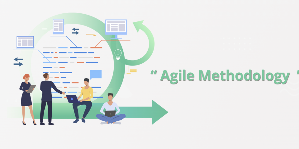 Agile methodology
